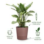 greensense aqua care round 43cm light concrete
